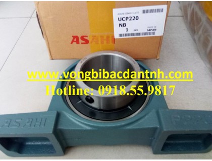 GỐI ĐỠ UCP220